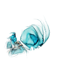 Jerome Art Walk